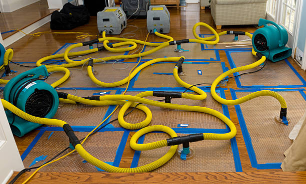 Professional Structural Drying And Dehumidification technician working in Tumtum, WA
